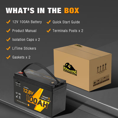 Chiếc thuyền điện Lifepo4 Bộ pin 12V 24V