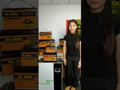 12V 48V 120Ah 150Ah 170Ah 200Ah 300Ah LiFePO4 Lithium Ion Battery Pack cho tàu ngầm